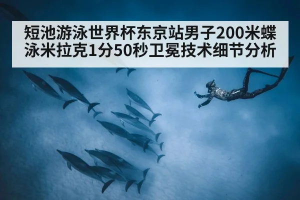短池游泳世界杯东京站男子200米蝶泳米拉克1分50秒卫冕技术细节分析